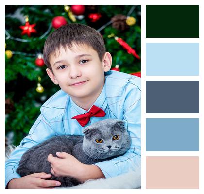 Christmas Decor The Boy With The Cat New Year Image